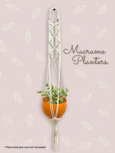 plant growing kit