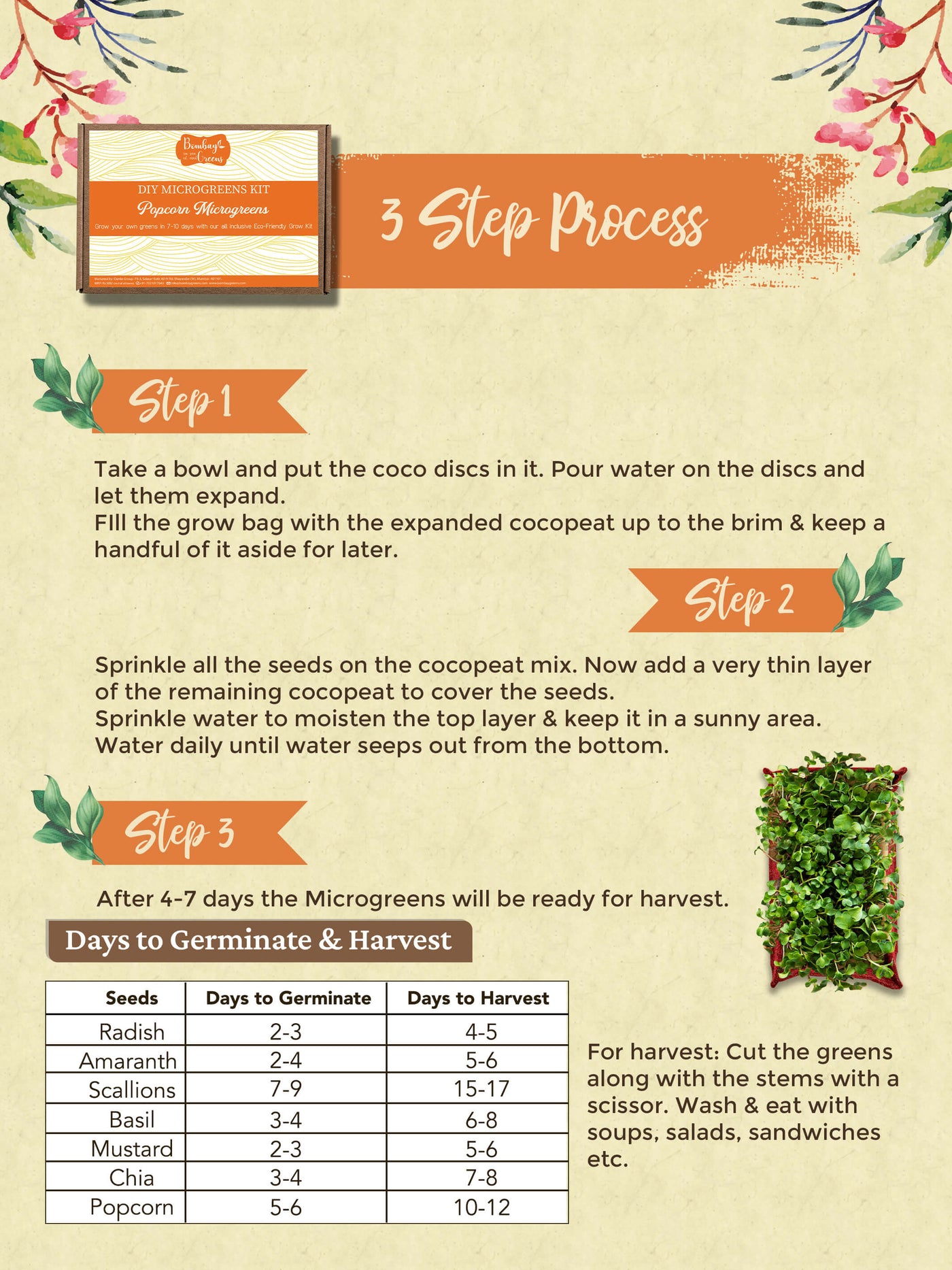 Popcorn Microgreens Kit Online in India Bombay Greens
