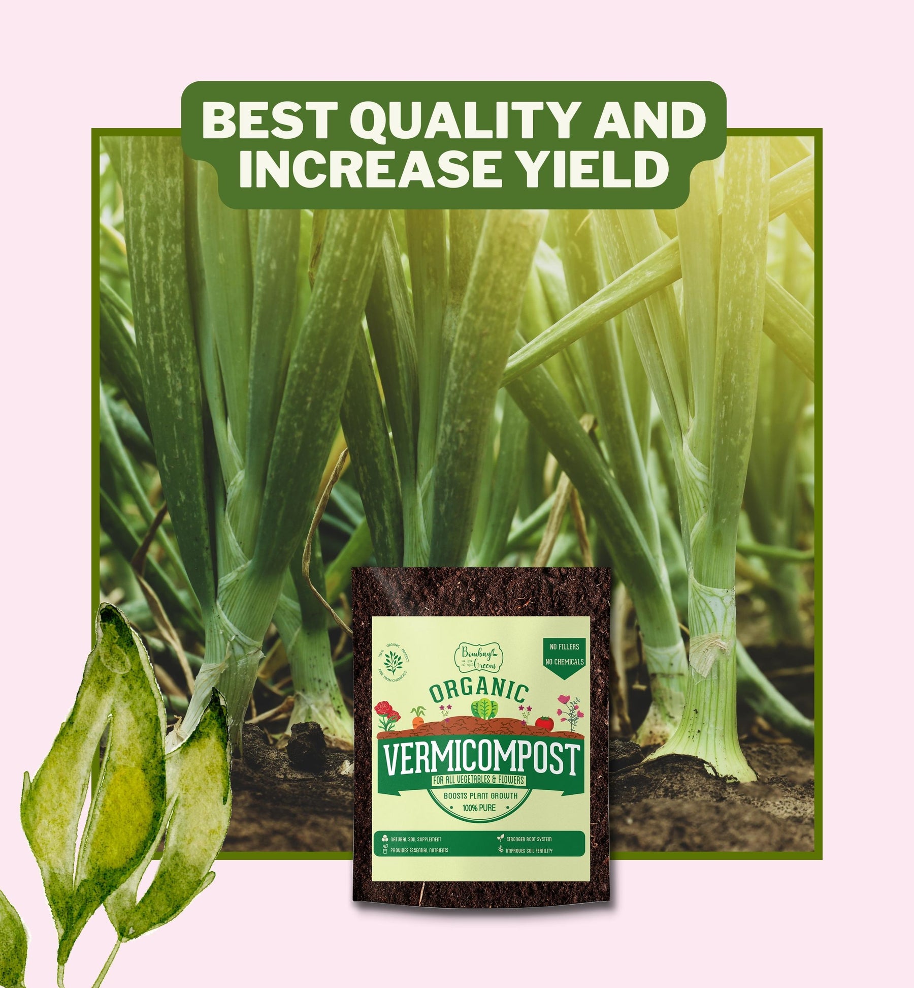 vermicompost for indoor plants Buy Organic Vermicompost Fertilizer 2KG. Cheapest Vermicompost Price near me