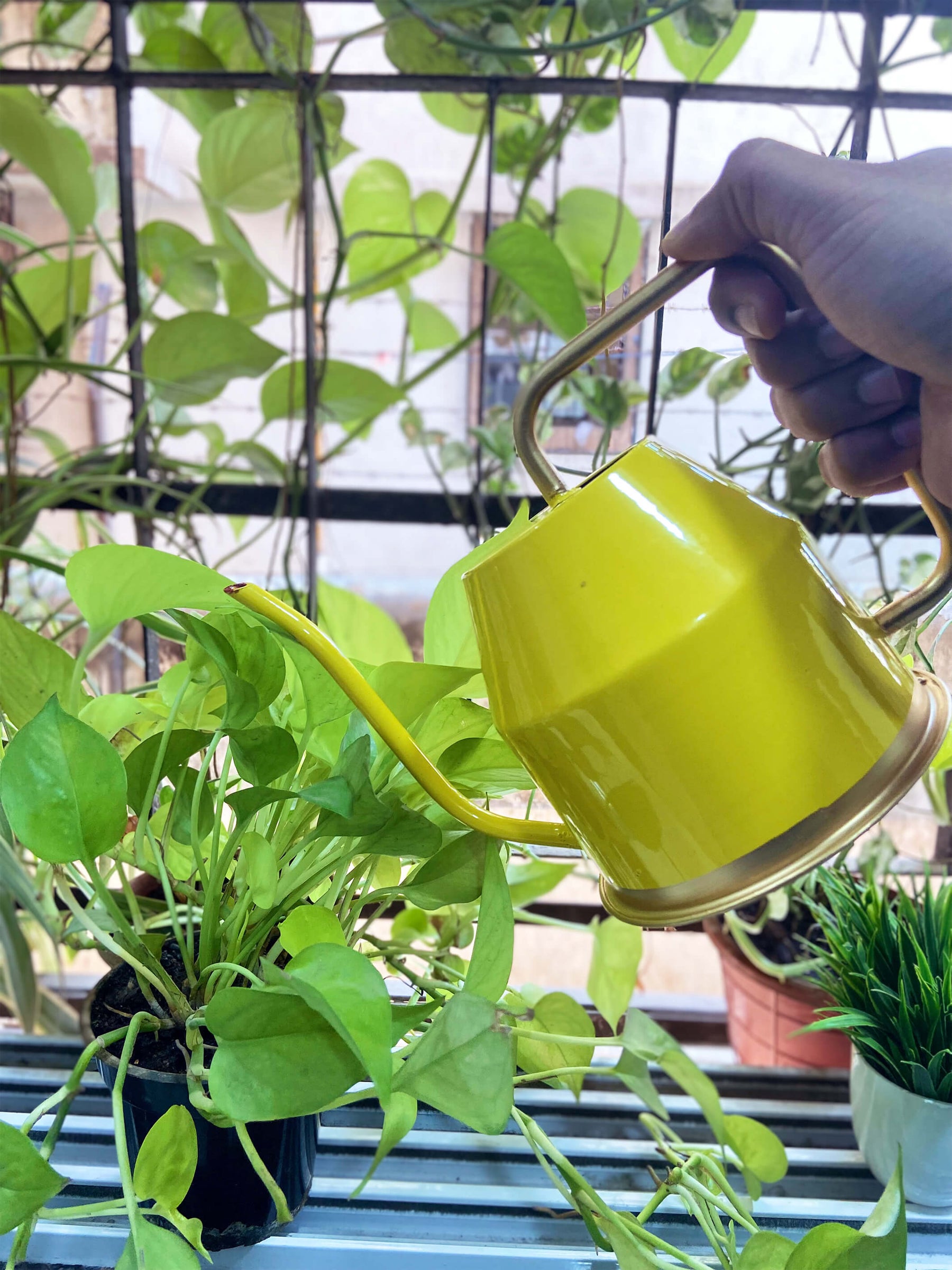 Metal Watering Can