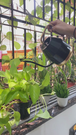 Metal Watering Can